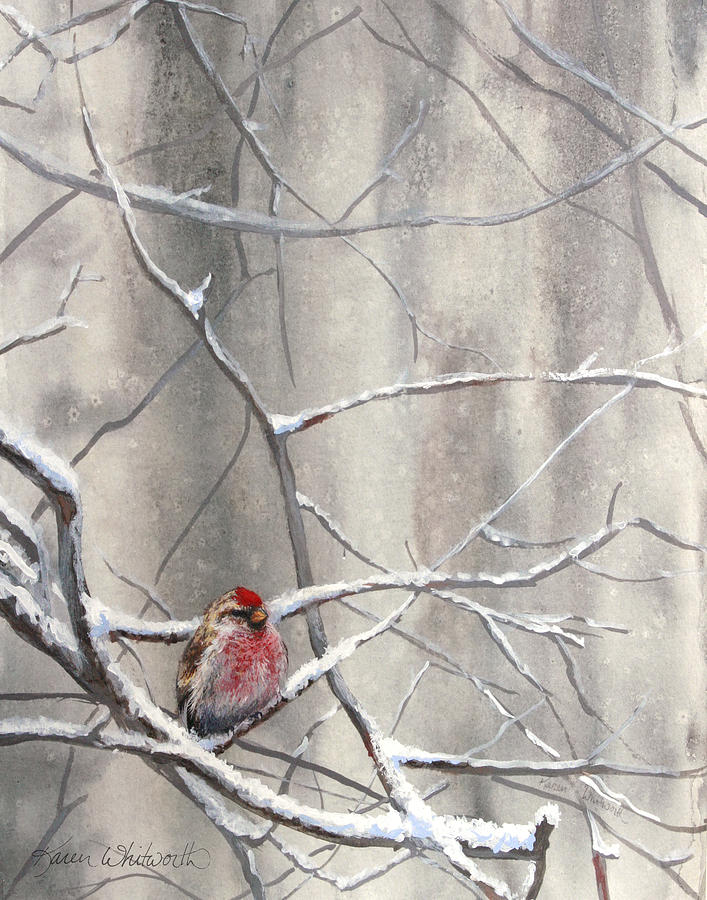 Eyeing The Feeder Alaskan Redpoll In Winter Painting by K Whitworth