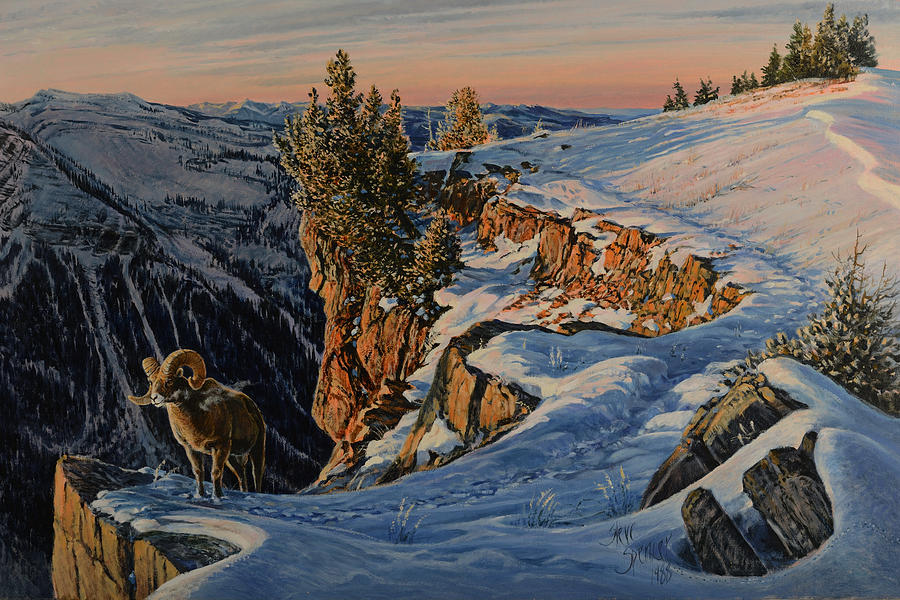 Eyes of the Canyon Painting by Steve Spencer