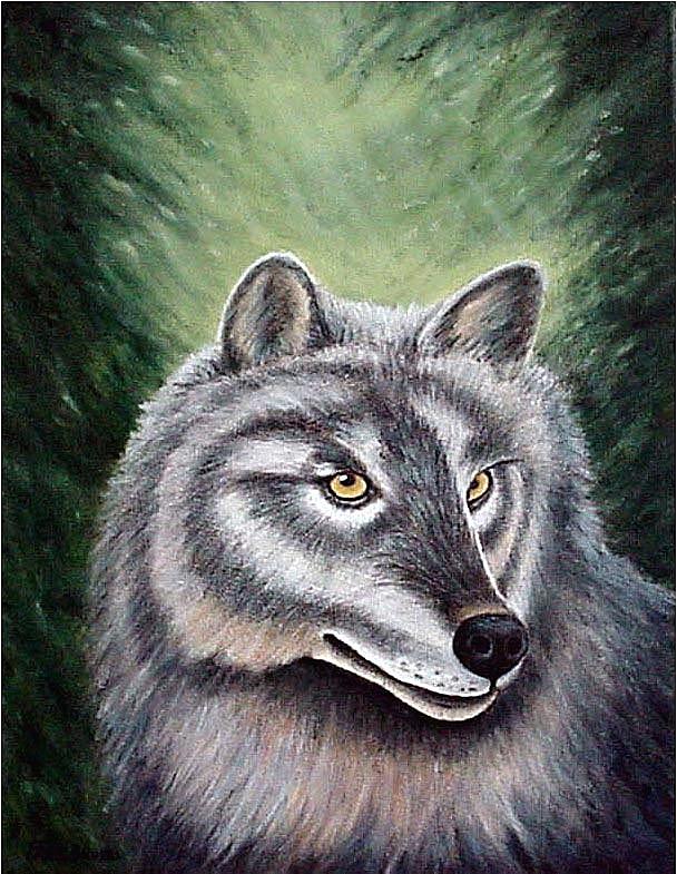 Wildlife Painting - Eyes of the Forest - Grey Wolf by Fran Brooks