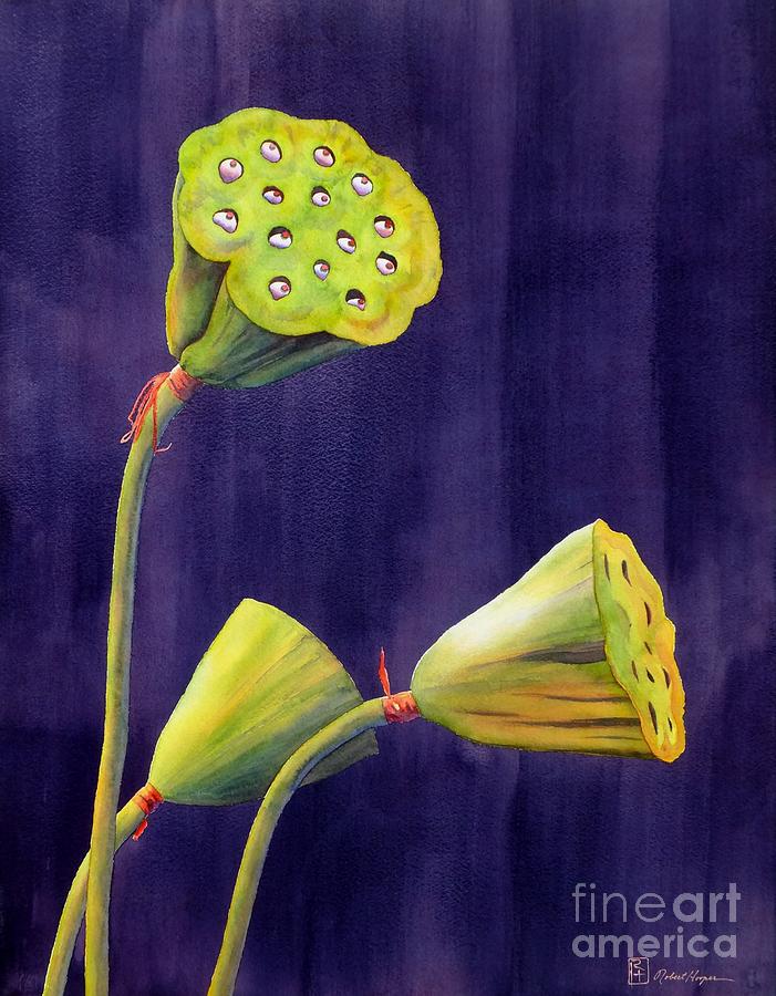 Flowers Still Life Painting - Eyes Of The Lotus by Robert Hooper