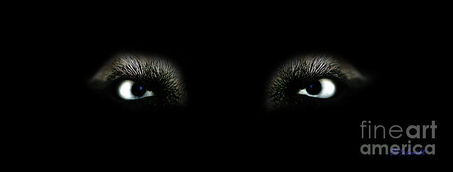 Eyes of the Predator Photograph by E B Schmidt