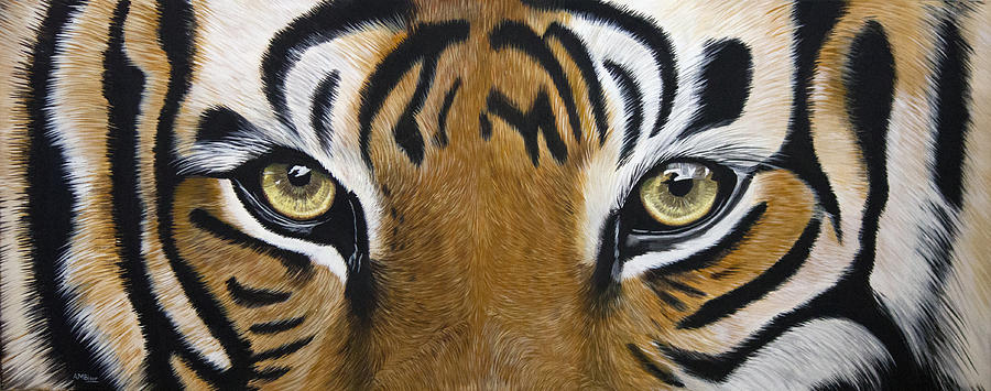 Eyes of the Tiger Painting by Anne-Marie Bloor | Fine Art America