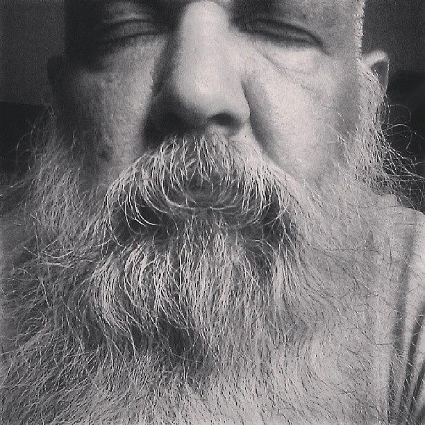 Bear Photograph - Eyes Wide Shut #selfies #beards #beard by Gary W Norman