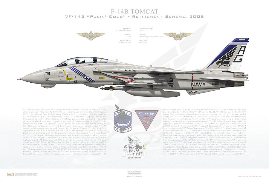 F 14 Tomcat Retired