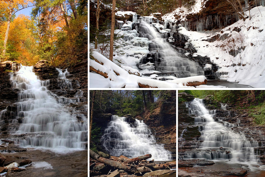 F L Ricketts Falls In Every Season Photograph by Gene Walls