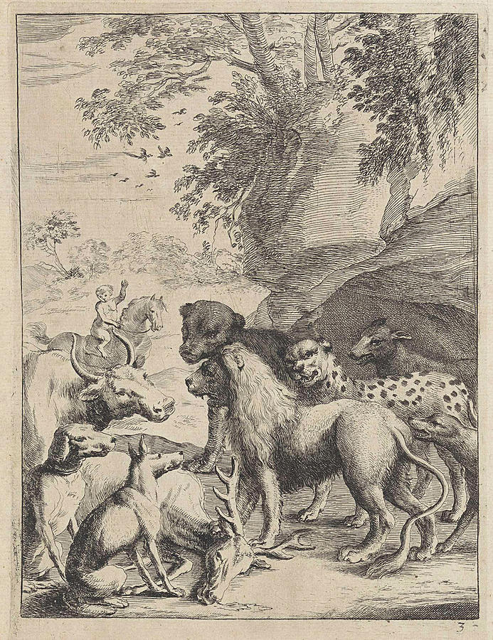 Fable Of The Lions And Other Animals, Dirk Stoop Drawing by Dirk Stoop ...