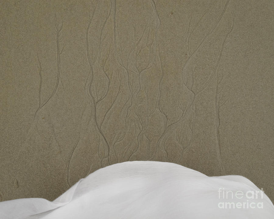 Tentacles Photograph - Fabric by Agata Wisniowska Tentacles Photograph - Fabric by Agata Wisniowska