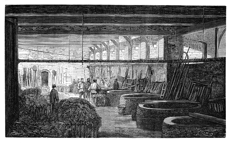 Fabric Boiling House Photograph by Science Photo Library Fabric Boiling House Photograph by Science Photo Library
