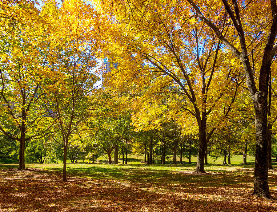 Fabulous Fall Foliage Photograph by David Coblitz