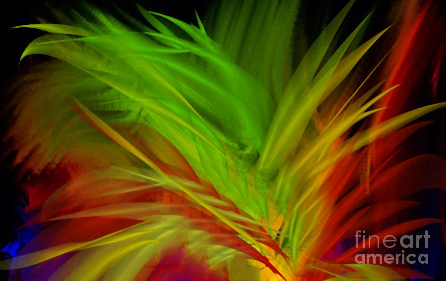 Fabulous Feathers  Digital Art by Gayle Price Thomas