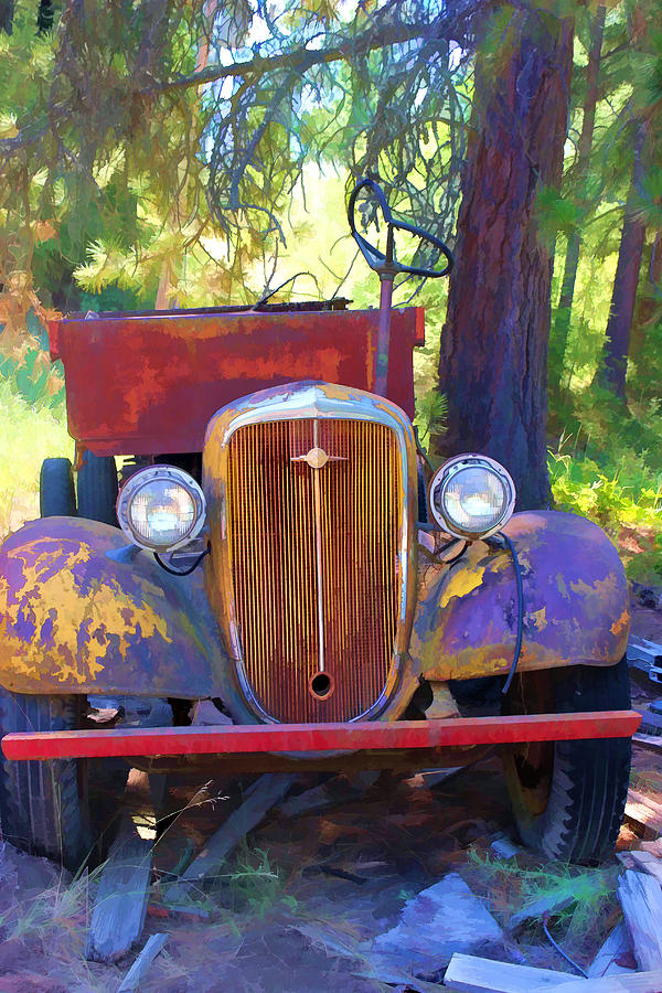 Transportation Photograph - Fabulous old truck Junkyard by Cathy Anderson