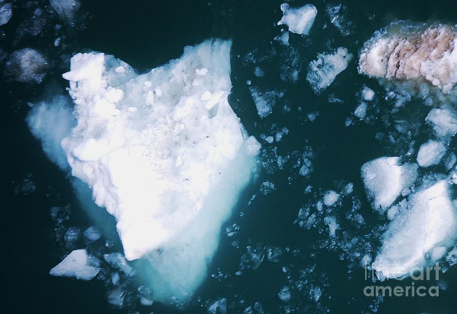 Face In A Floe, A Collectible Moment Photograph by Marcus Dagan