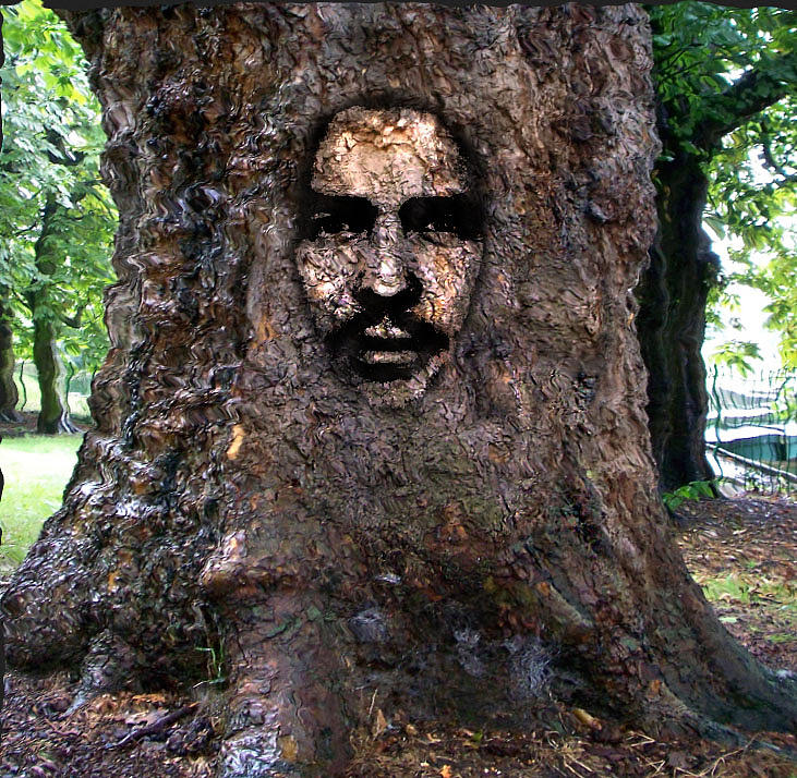 Face in a Tree Digital Art by Mary M Collins