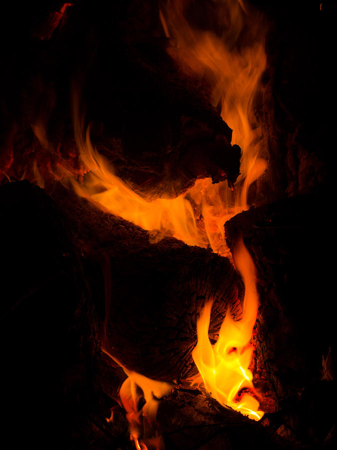 Face in Flames Photograph by Dawn MacGibbon
