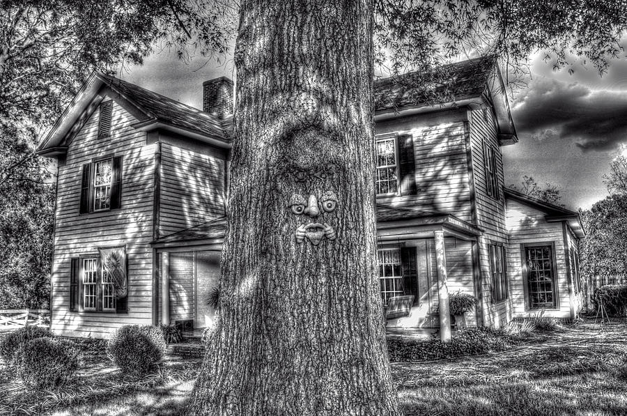 Face in the tree BW Photograph by Andy Lawless