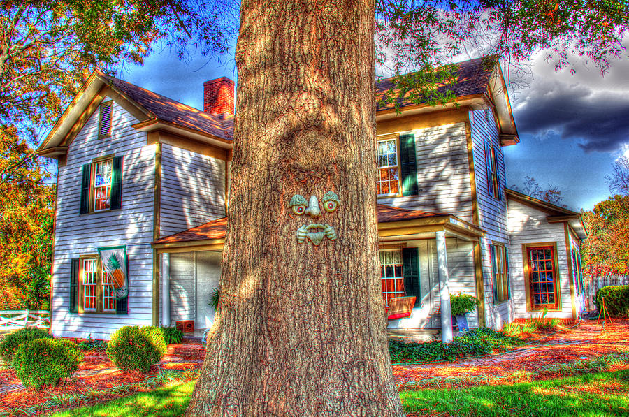 Face in the tree HDR Photograph by Andy Lawless