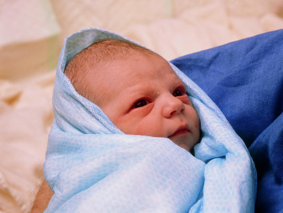 Face Of A Healthy Newborn Baby Boy Photograph By Hattie Youngscience