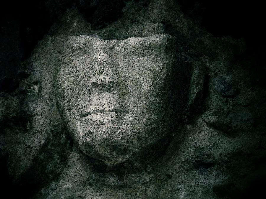 Face of Stone Photograph by Nadalyn Larsen