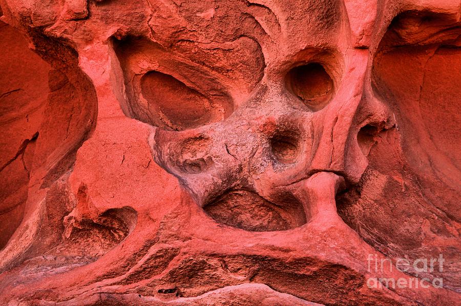 Faces At The Valley Of Fire Photograph by Adam Jewell