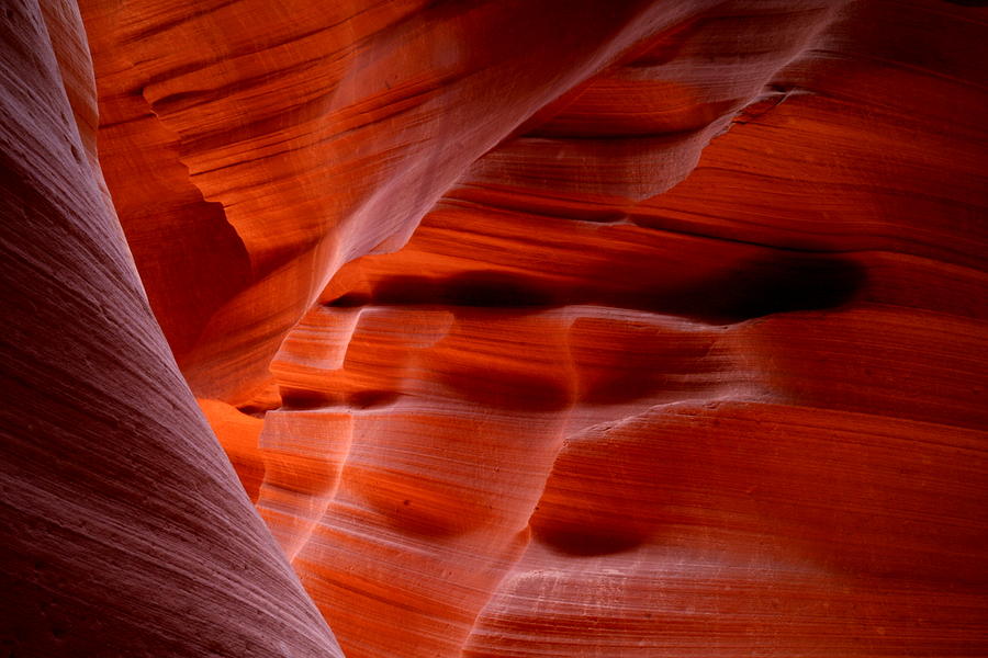 Faces in sandstone at Lower Antelope Canyon Photograph by Jetson Nguyen