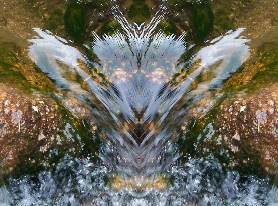 Faces in Water I Photograph by Lanita Williams