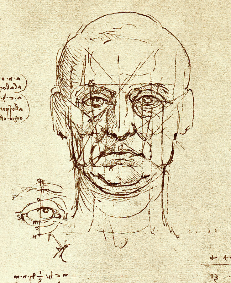 Leonardo Da Vinci Photograph - Facial Anatomy by Sheila Terry