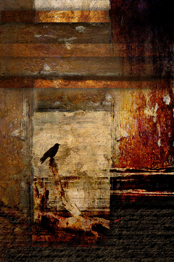 Crow Photograph - Facing Seaward by Carol Leigh