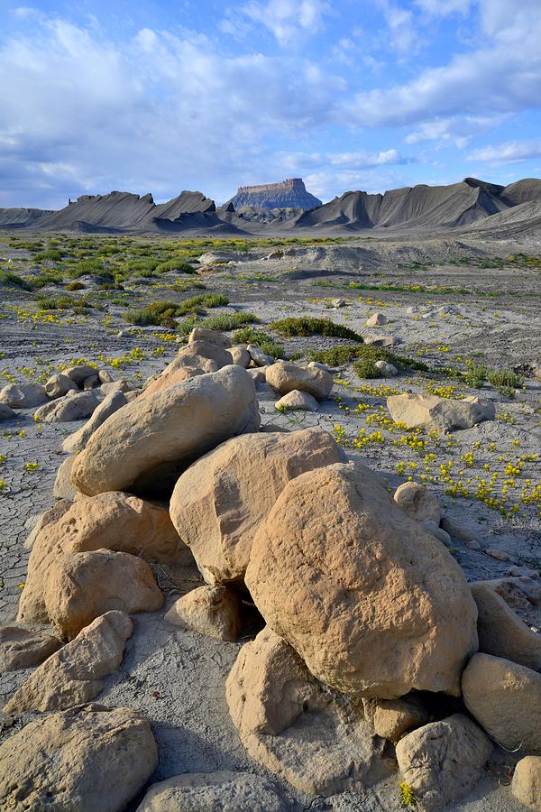 Factory Butte Flowers Photograph by Ray Mathis