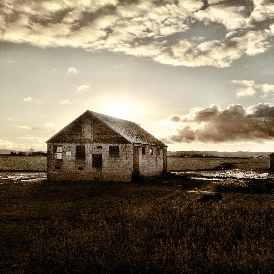 Farm Photograph - Faded Field by Anna Bree