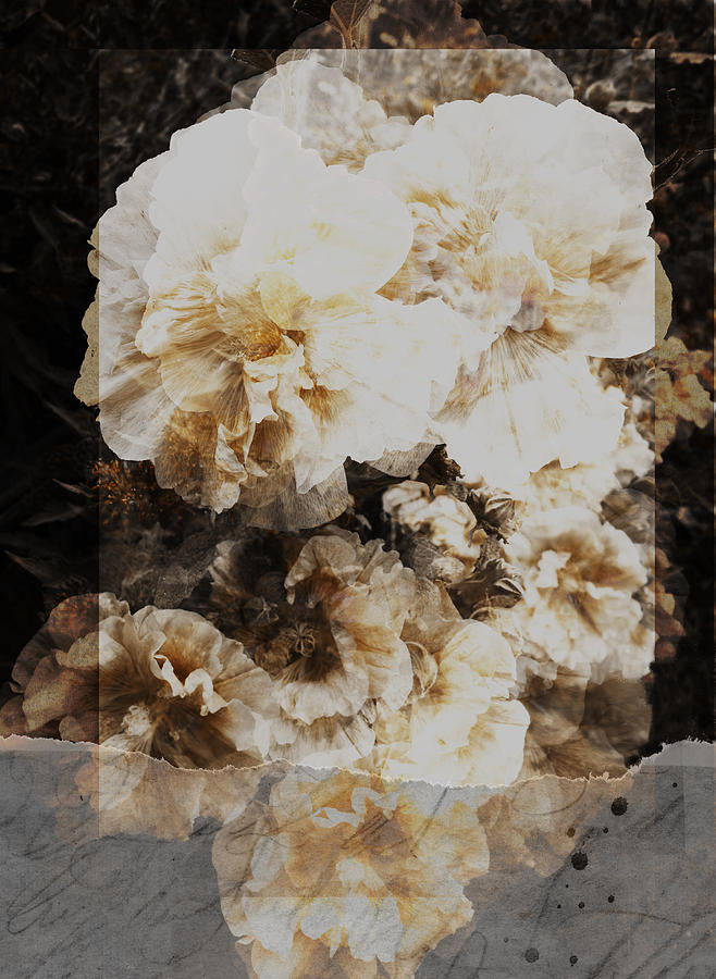 Faded Memories -flower- collage art Digital Art by Ann Powell