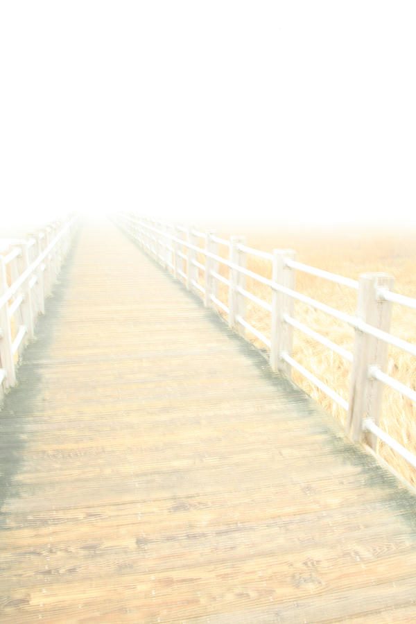 Faded Memories Of The Boardwalk Photograph by Karol Livote
