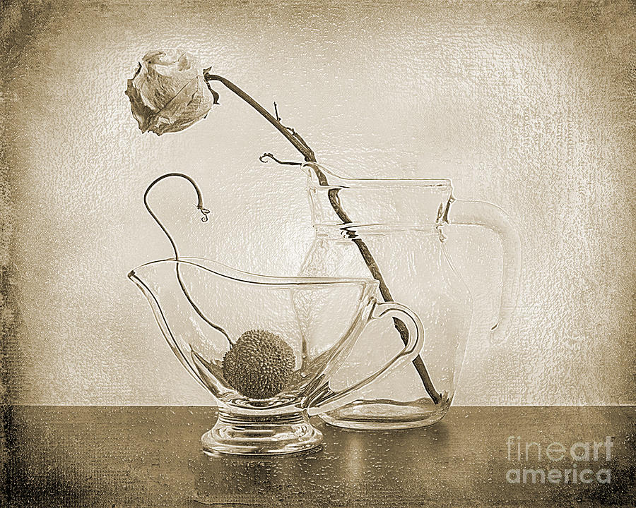 Faded Rose In Sepia Photograph by Scott Mendell