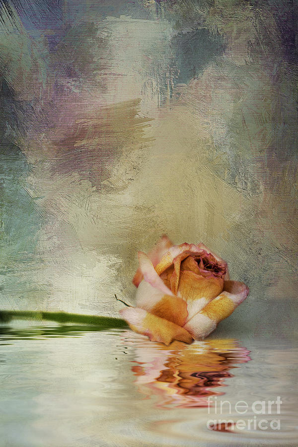 Faded Rose Digital Art by Susan Gary