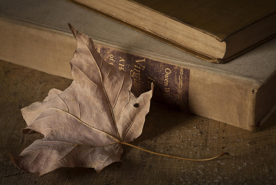 Фото Лист Книга