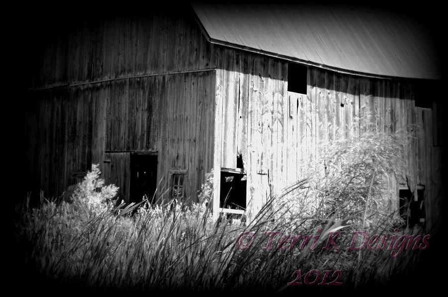 Black And White Photograph - Fading away by Terri K Designs