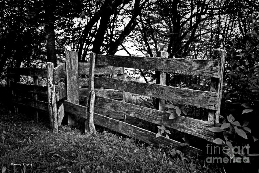 Fading Fence Photograph by Randy Rogers