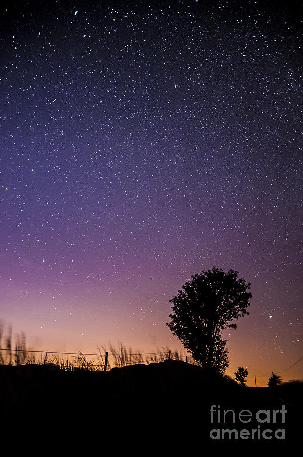 Nature Photograph - Fading Light Amongst The Stars by Kirk Norbury