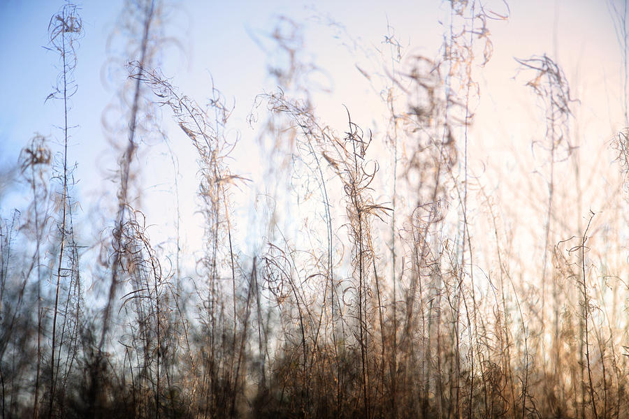 Fading Light Photograph by Mike Allison - Pixels