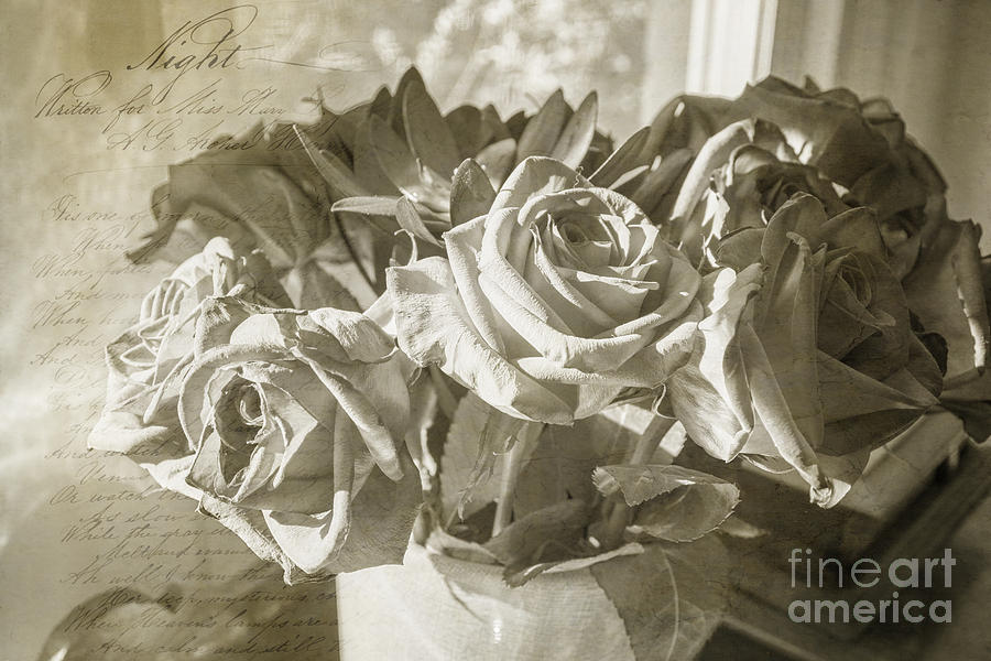 Fading Roses Photograph by Terry Rowe