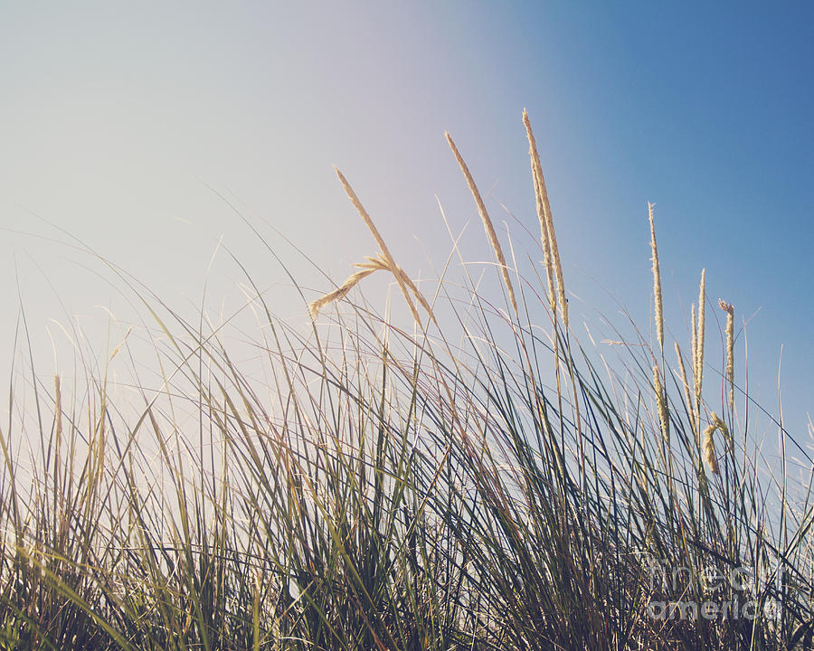 Fading Summer Photograph by Jillian Audrey Photography - Fine Art America