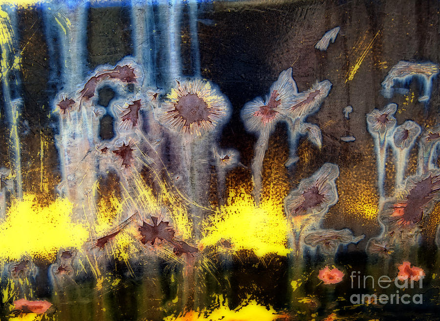 Fae and Fireworks Abstract Photograph by Lee Craig