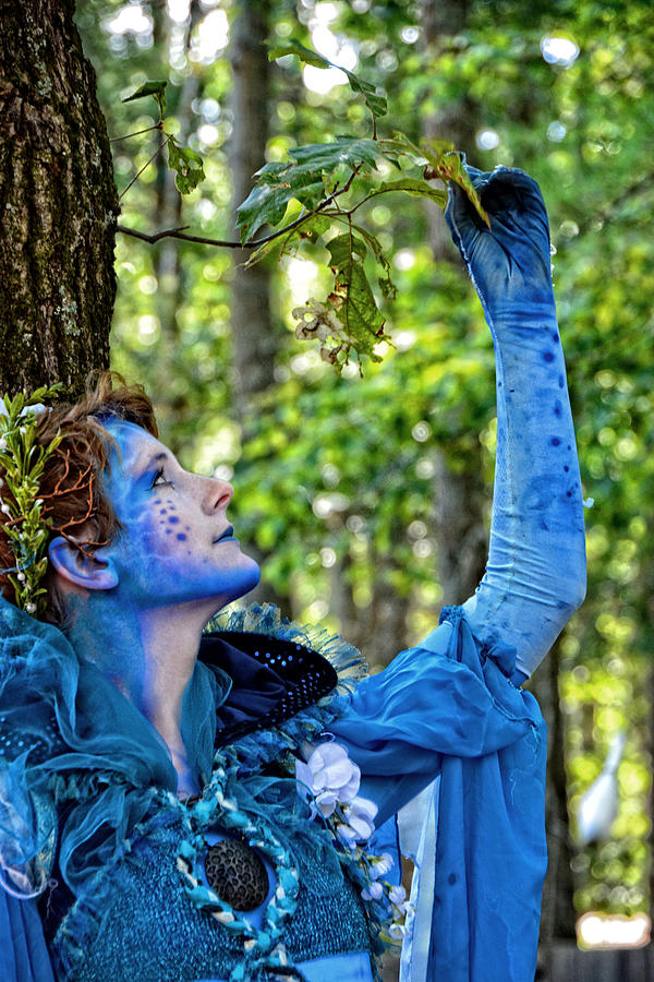 Faerie Frolics in the Forest Photograph by Mike Martin