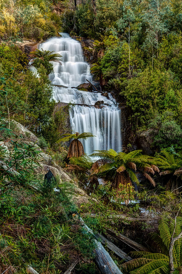 Fainter Falls - Bogong Victoria Photograph by Mark Lucey