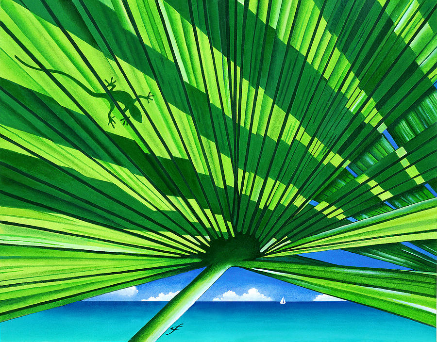 Nature Photograph - Fair Weather Fronds by MGL Meiklejohn Graphics Licensing