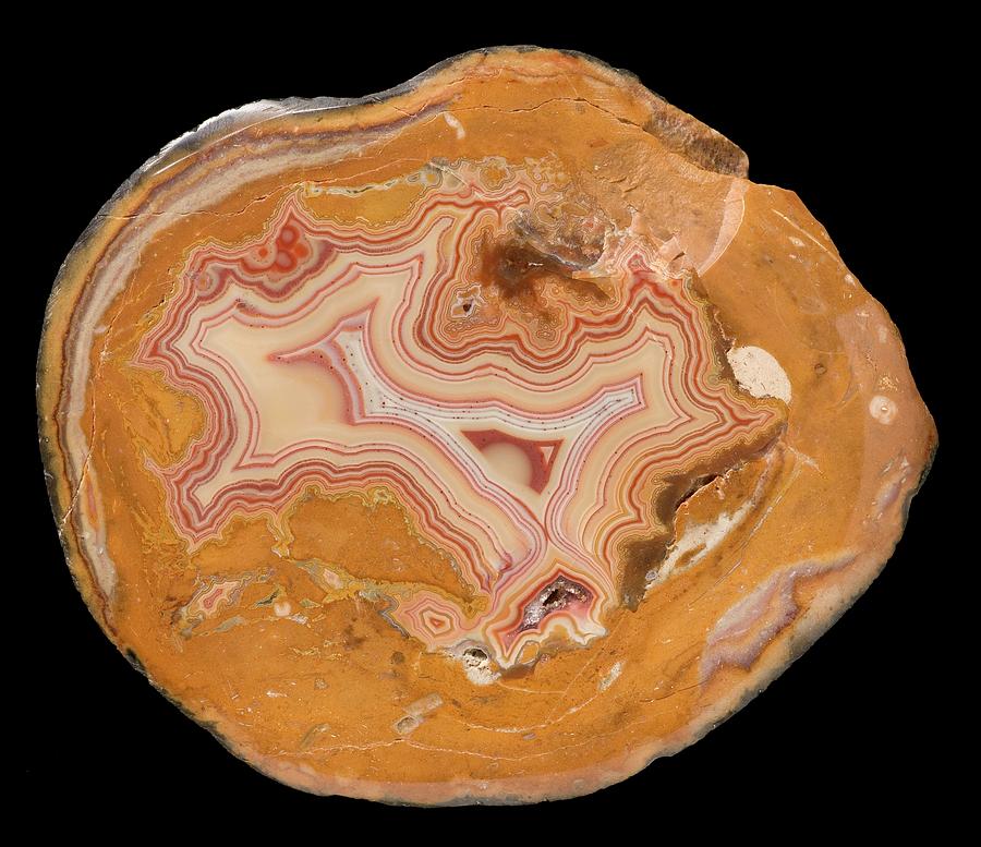Pattern Photograph - Fairburn Agate by Natural History Museum, London/science Photo Library