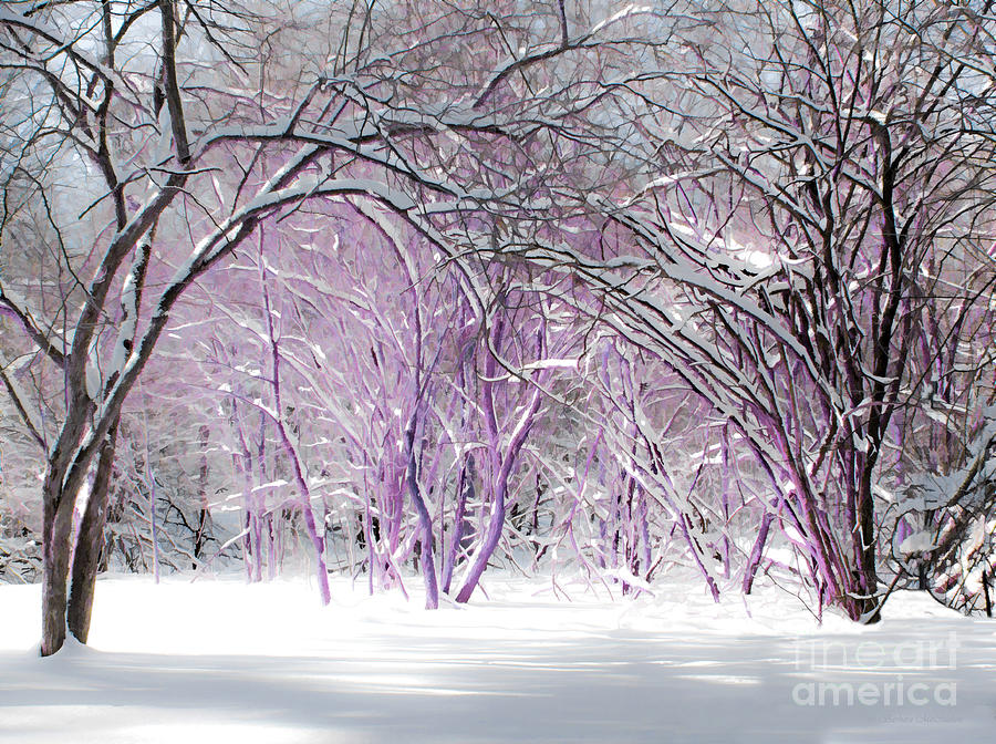 Fairies Winter Wonderland Photograph by Barbara McMahon