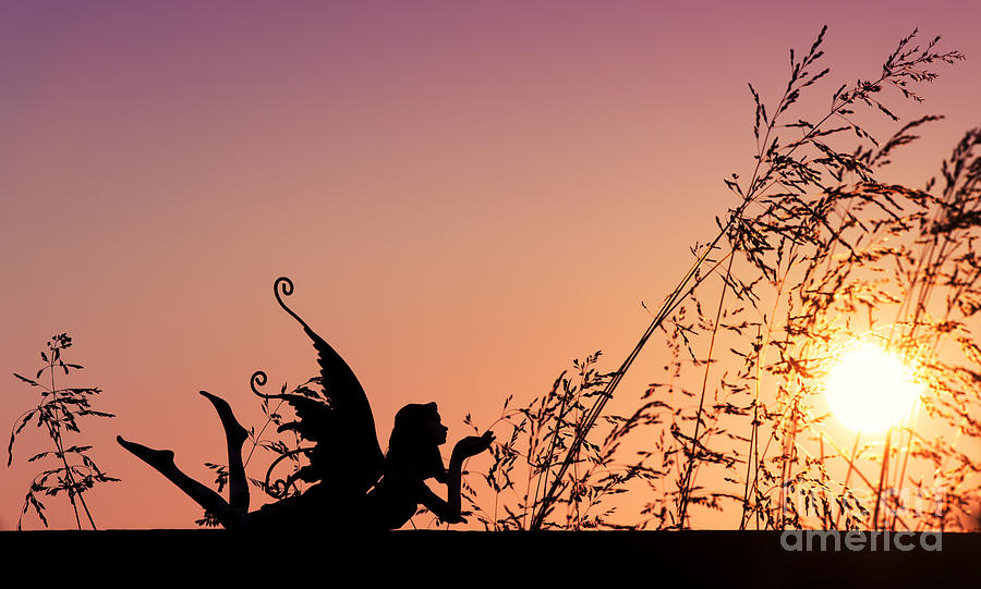 Sunset Photograph - Fairy at the bottom of the Garden by Tim Gainey