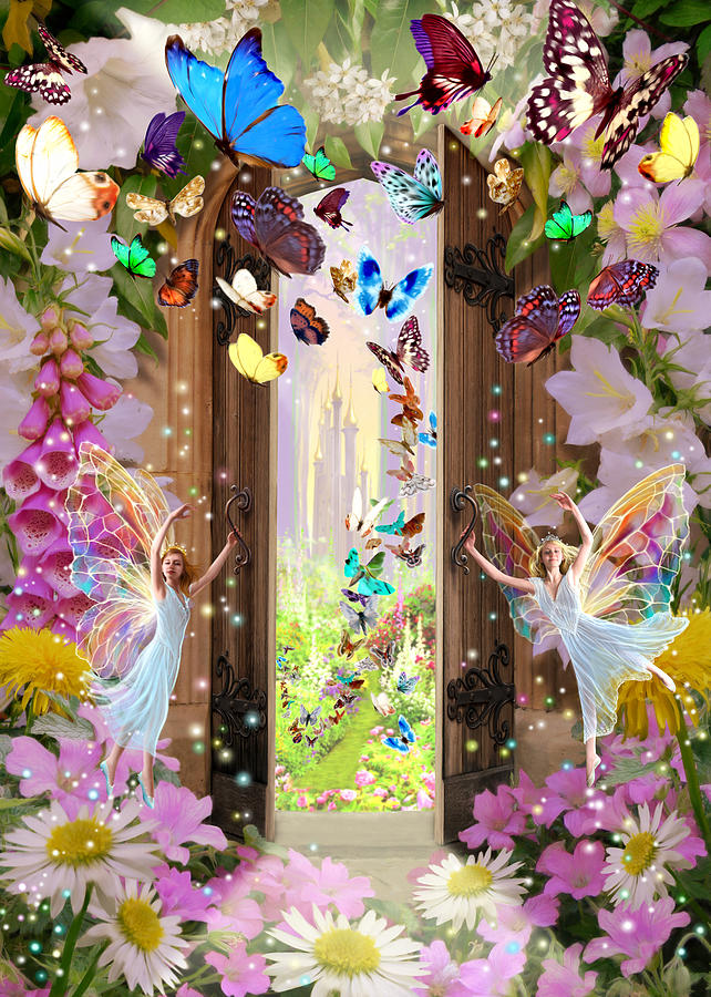 Fairy Door Photograph by MGL Meiklejohn Graphics Licensing