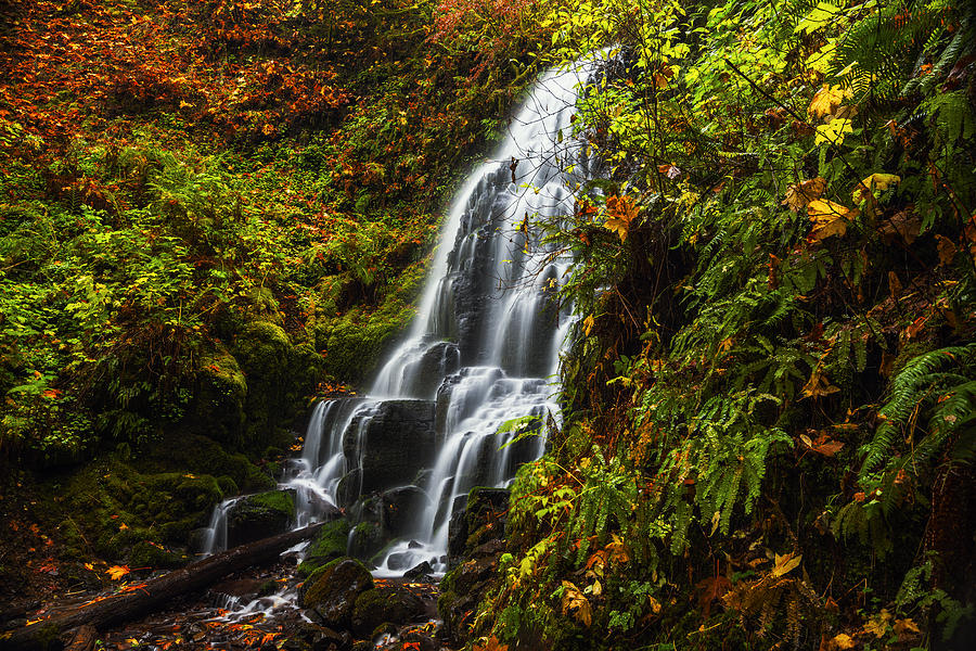 Fairy Falls Autumn in Columbia River Gorge Oregon USA Photograph by Vishwanath Bhat