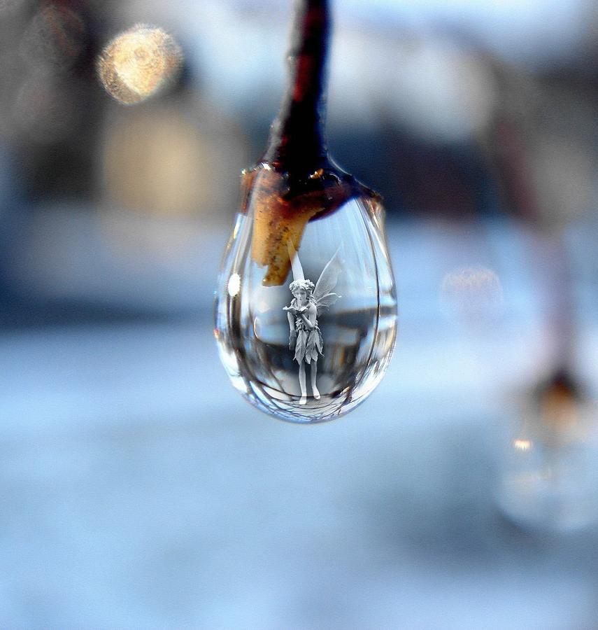 Fairy in a Drop Photograph by Andrea Galiffi